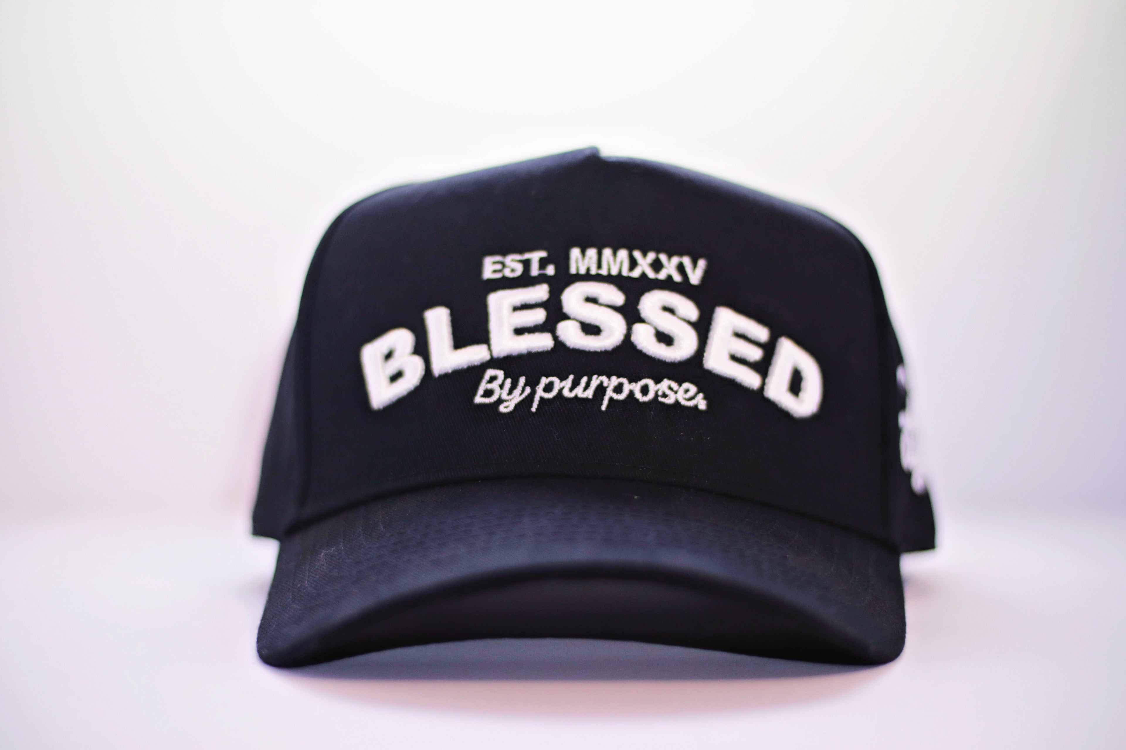 3D Embroidered Cap BLESSED by purpose Black - Live Again