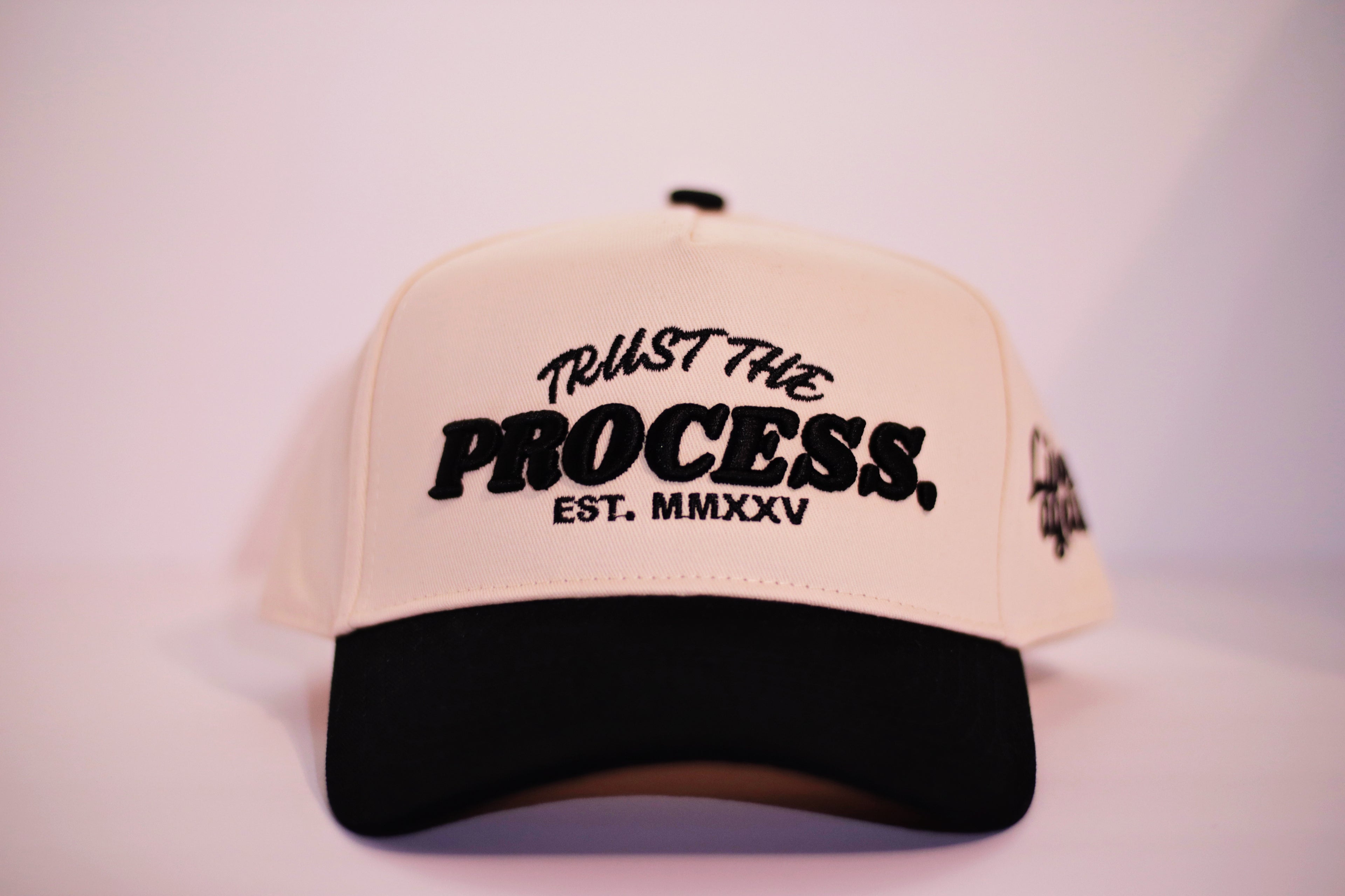 3D Embroidered Cap TRUST THE PROCESS Natural - Live Again