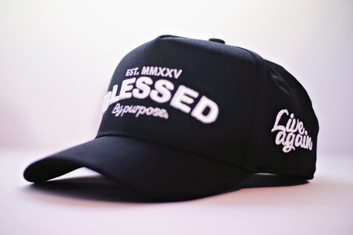 3D Embroidered Cap BLESSED by purpose Black - Live Again
